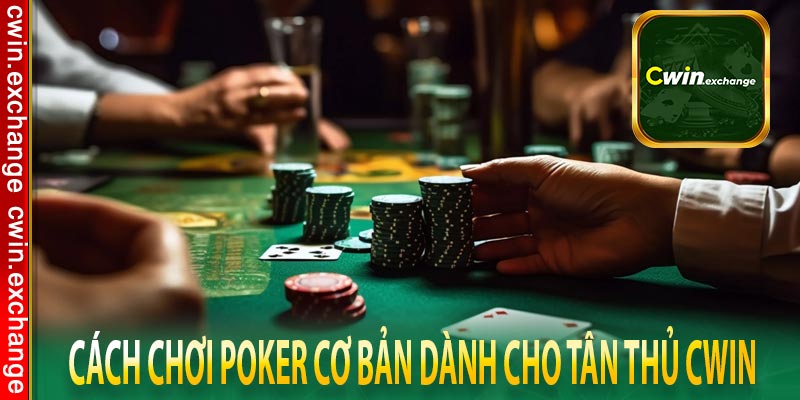 Cách chơi Poker cơ bản dành cho tân thủ CWIN